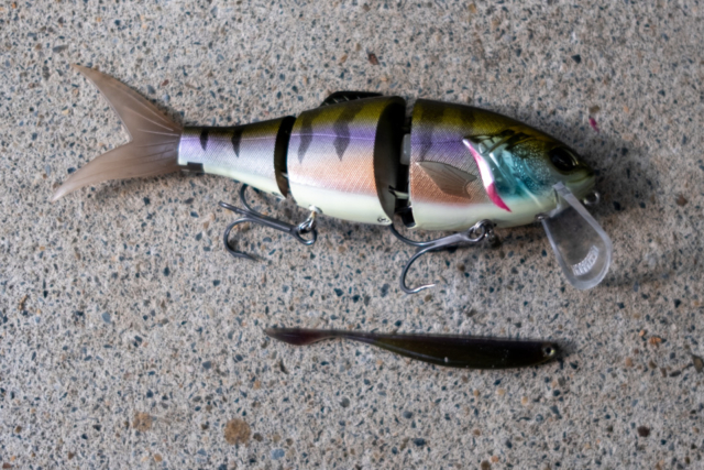 おすすめのルアー8選！ブラックバス釣り初心者必見！ - ライフ