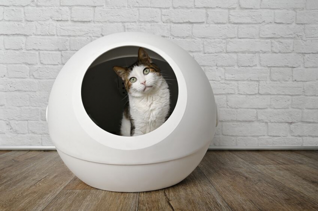 自動トイレにピッタリの猫砂