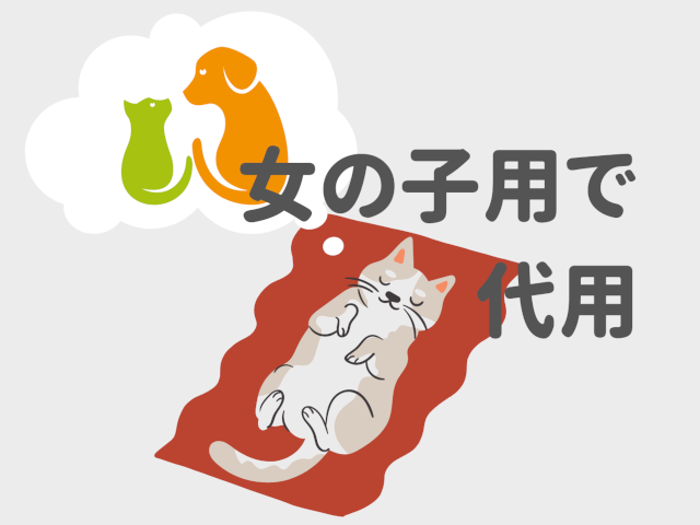 猫用オムツ選びで失敗しないポイント2.犬用オムツを代用する場合は「女の子用」を選ぶ