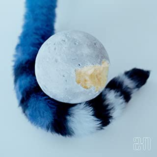 TikTokで話題になったおすすめの曲ランキング15位 ケダモノのフレンズ/にしな