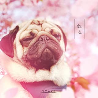 TikTokで話題になったおすすめの曲ランキング25位 ねぇ/YOAKE